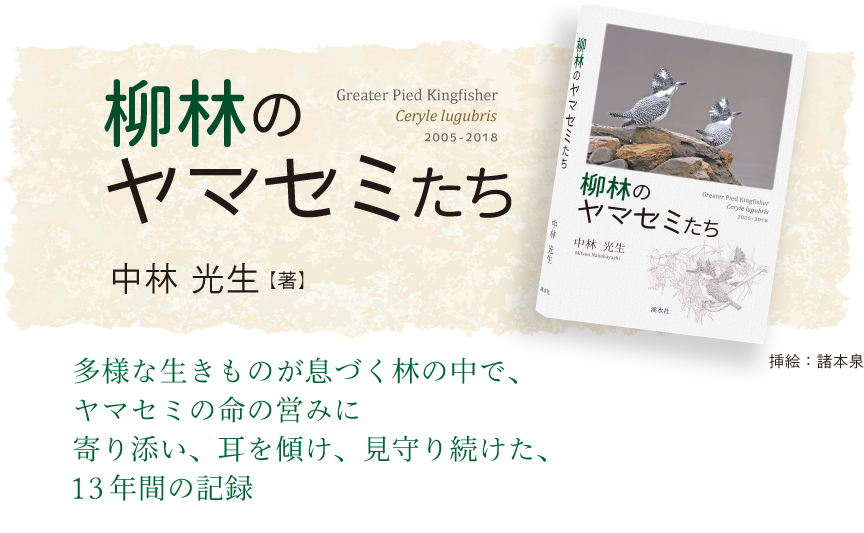 「柳林のヤマセミたち」多様な生きものが息づく林の中、ヤマセミの命の営みに寄り添い、耳を傾け、見守り続けた、13年間の記録